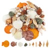 Sea Shells Mixed, 80 pcs Natural Seashells, 2-9 cm Shells