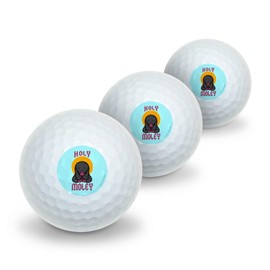 GRAPHICS & MORE Holy Moley Religious Mole Funny Humor Novelty Golf Balls 3 Pack