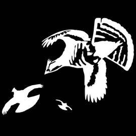 Express Yourself Winged Woods Grouse Wall Decal (White - Reverse Facing - XL) - Upland Game Bird Collection