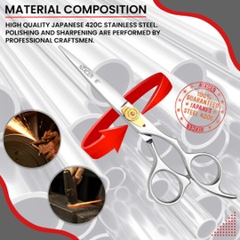 Professional Hair Series 6" - Fancy Hair Cutting Scissors with Adjustable Screw - Stainless Steel Razor Edge Hair Shears for Salon & Home Use (Silver)