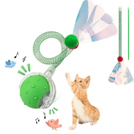 Fanfoobi Interactive Cat Toys Ball for Indoor Cats, Automatic Agile Rolling Cat Ball with Elastic Mesh Tail, Bird Chirping & Motion Activated, 2 Tail Accessories, Kitten Toy for Bored (Green)