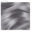 Adore Semi Permanent Hair Color (155 Titanium) | Vegan &