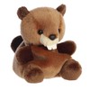 Aurora® Adorable Palm Pals™ Chewy Beaver™ Stuffed Animal - Pocket-Sized
