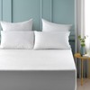 Dreamaker Fully Fitted 100% Bamboo Terry Waterproof Mattress Protector, Rustle