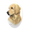 CafePress Golden Retriever 3 Oval Car Bumper Sticker