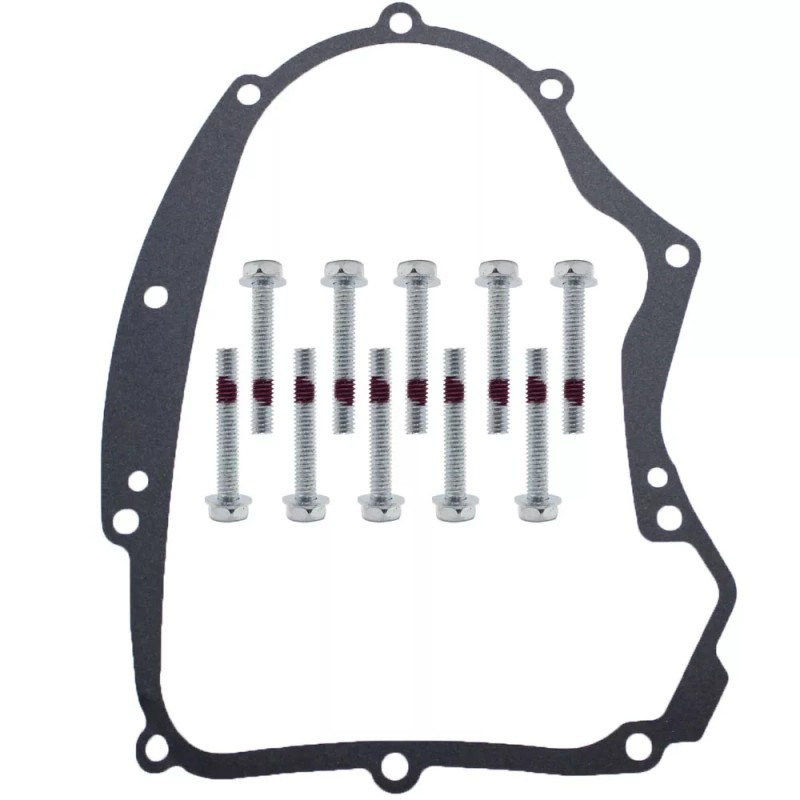 nanne869 For Briggs and Stratton 594195 Crankcase Gasket Kit