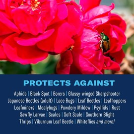 BioAdvanced All-In-One Rose and Flower Care Fertilizer, Concentrate, 64 oz