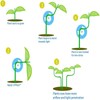 Fokroin Pack of 30 Plant Benders, 360° Adjustable Plant Benders,