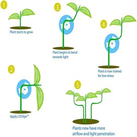 Fokroin Pack of 30 Plant Benders, 360° Adjustable Plant Benders, Low Stress Training Clips, for Low Load, Plant Clips for Bending Plant Stems, Changing the Growth Direction