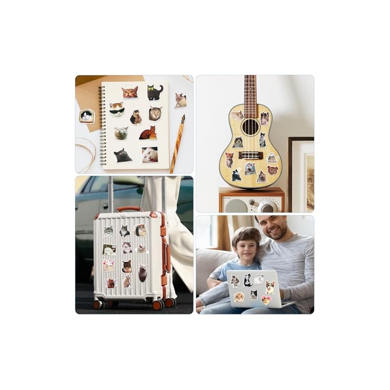 Pack of 100 Funny Meme Sticker Set, Cat Meme Stickers,