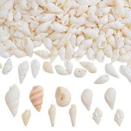FORWOMLM 700pcs Small White Clam Cay Seashells Natural Tiny Sea Shell Mini Spiral Conch Shells Crafts Charm Accessories for DIY Fish Tank Vase Fillers Home Beach Party Decorations