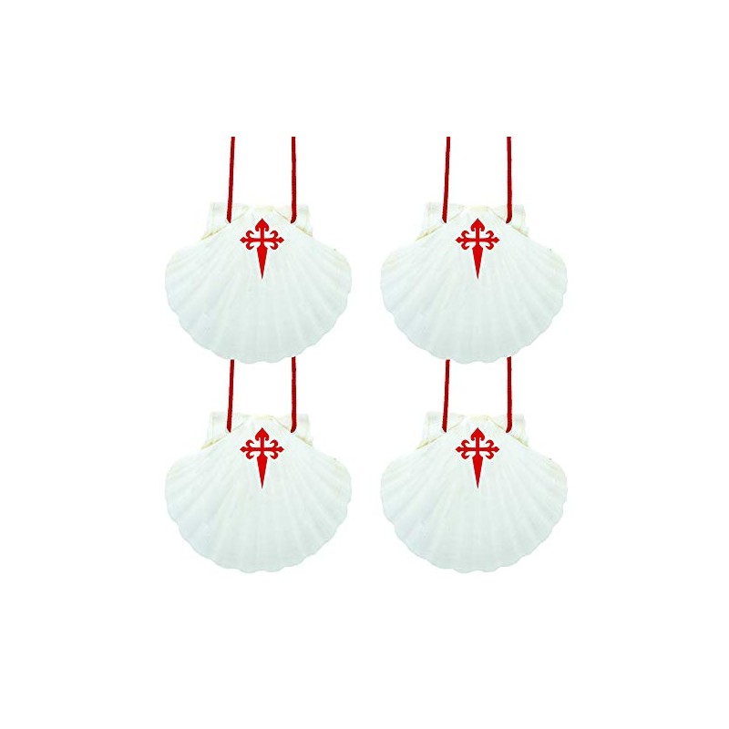 Finoly Pack of 4 Way of Saint James Scallop |