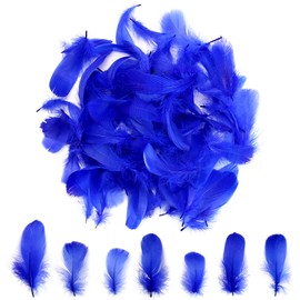 Lamar Feather 300pcs Blue Feathers 2-3 Inches Bulk Feathers for Crafting, Dream Catcher Accessories, Art Projects, DIY Crafting, Handi Crafts, Party Decoration (Royal Blue)