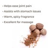 Plant Therapy Nutmeg Essential Oil 10 mL (1/3 oz) 100%
