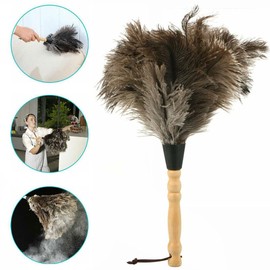 TEAMWILL 2PACKS 13" Ostrich Feather Duster Durable Dust Collecting Cleaning Tool in Wool Shop