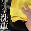 Industrial Acid Car Shampoo Pollen or 黄砂 Falling Down, Bird