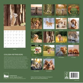 July 2025- December 2026 Wall Calendar 18 Month | 12" x 24" Open | Giftable Dog Calendar 2026 | Thick & Sturdy Paper for Organizing & Planning | Pacific Waters Press (Golden Retrievers)
