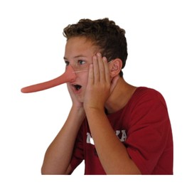 Costume Nose Mask Accessory