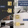Gold Door Handle 1 Pcs, Privacy Door Levers with Black