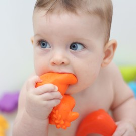 Playgro Jungle Fun Friends Bath Toy