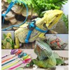 Bonaweite 2 Pack Adjustable Harness Leash, Pet Birds Nylon Anti-bite