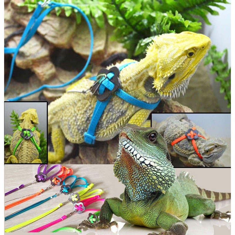 Bonaweite 2 Pack Adjustable Harness Leash, Pet Birds Nylon Anti-bite