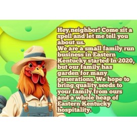 Seeds Of Tomorrow 15 Solar Flare Wild Boar Tomato Seeds- With Bonus! |Organic Non-GMO Heirloom