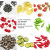 Rikyo 50 Blueberries Artificial Fruits, Realistic Lifelike Blue Foam Fruits,