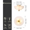 ANYLOVE Modern 12Inch Frosted Glass Flower Glass Semi Flush Mount