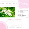 e-aroma Jasmine Absolute 5ml Essential Oil Essential Oil Aroma Oil
