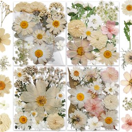 135PCS White Dried Pressed Flowers with Butterfly Stickers - YouthBro Real Nature Flowers Craft Set for Resin DIY Jewelry Candle Soap Vase Making Nail Card Scrapbook Art Floral Decors