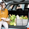 Lifewit 2 Pack Bolsa Extragrande, Reutilizables con Marco de Alambre