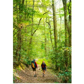 FITS SOCKSHOSIERY メンズ US サイズ: Large カラー: ブルー