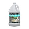 Armor CR100 Acrylic Sealer, Urethane Coating, Epoxy and Paint Remover