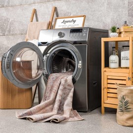 BoutiqueRugs Analu Bohemian Vintage Medallion Area Rug - Oriental Bordered Carpet for Living Room, Bedroom - Machine Washable - Blush, Peach, Brown- 5'3" x 7' (5x7)