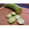 KIRA SEEDS - Seeds Armenian Cucumber - Open-Pollinated - Heirloom