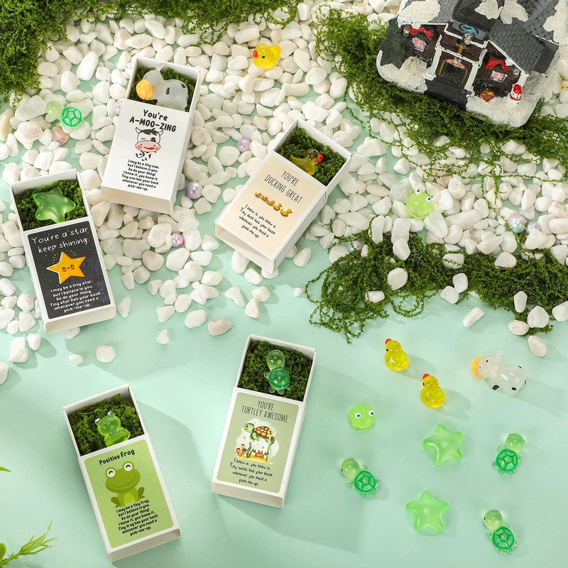 Cinnvoice 75 Sets Affirmation Mini Luminous Resin Appreciation Gift Box