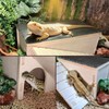 Gxsdj Large Bearded Dragon Basking Platform,Wooden Reptile Hide Cave with