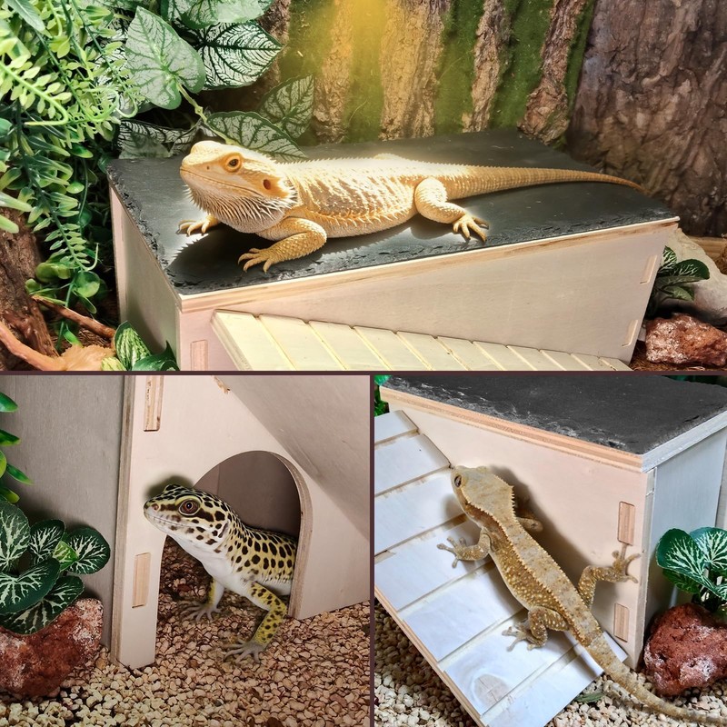 Gxsdj Large Bearded Dragon Basking Platform,Wooden Reptile Hide Cave with