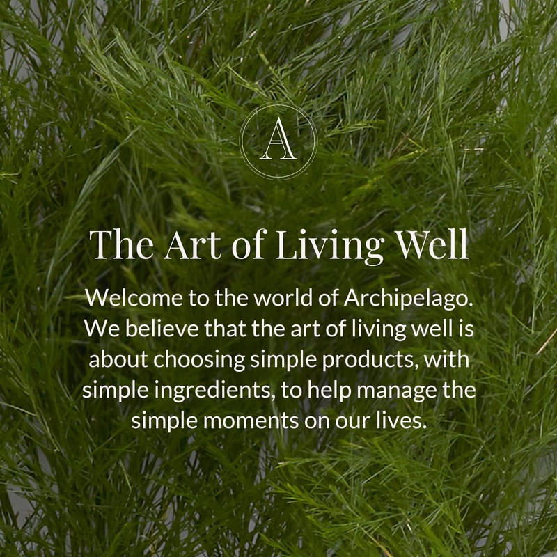 Archipelago Botanicals Pomegranate Citrus Reed Diffuser, Home Fragrance Reed Diffuser,