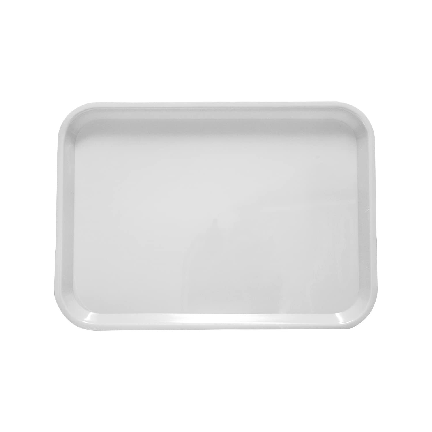 JMU Dental Plastic Instrument Set Up Flat Tray, 13-3/8" X 9-5/8", Sky Blue, Single Tray
