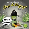 Bebida 3 Jugo Verde Santo 100% Puro 10 Plantas Cardo