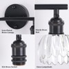 Shenmoyl Bathroom Light Fixtures, 2-Light Black Vanity wall Light Over