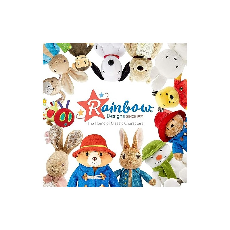 Rainbow Designs Jeremy Fisher Deluxe Soft Frog Toy – Frog