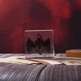 Taxidermy Bat Insect in Resin, Real Bat Specimens Animal Specimen in Resin Fans of Taxidermy Animal Skull Oddities Biology Preserved in Resin for Classroom Science Education Desk Decor (Bat 1)