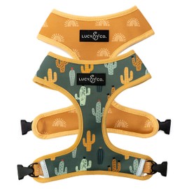 Lucy & Co. Looking Sharp, Cute Reversible Dog Harness Walking Halter - Best Designer Pet Harnesses for Medium Dogs - Padded Adjustable Vest for Easy Walking (Large)