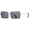 Rectangle Sunglasses for Men/Women Small Rimless Square Shade Eyewear (Black)