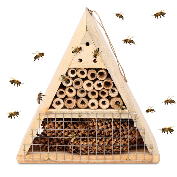 Mason Bee House - Handmade USA Natural Elderberry Bee Hotel - Bee Hive Attracts Peaceful Bee Pollinators to Enhance Garden Productivity