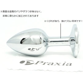 Praxia Jewelry, Plug, Small, Maximum Diameter 1.1 inches (2.8 cm), Crystal [Includes Logo Cloth Bag, Lotion, Cleaning Cloth]