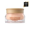 SKINFOOD Salmon Darkcircle Concealer 10g - 1 Blooming